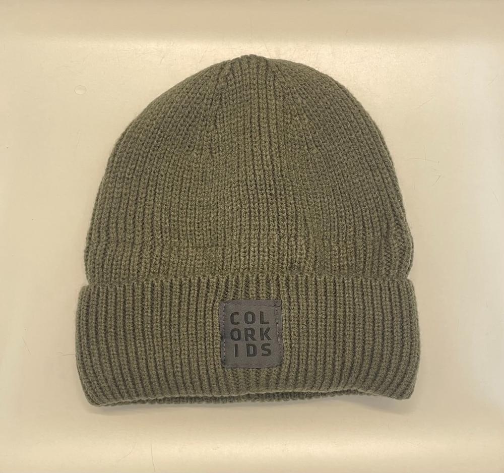 Color kids Beanie - Wool w. fleece band lining, Grape Leaf